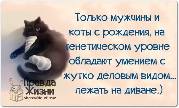 pic (604x367, 52Kb)
