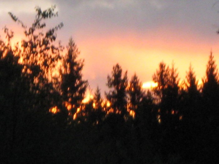 IMG_0010 (700x525, 66Kb)