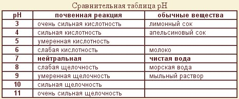 Читать книгу Имбирь и еще 35 растений-целителей. Выращиваем сами. Против 100 бол