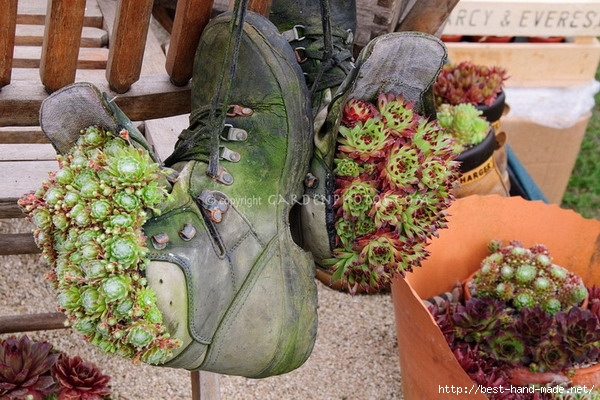 Inovation-Garden-Ideas-Use-Old-Shoes-to-Plant-Flower (600x400, 227Kb)