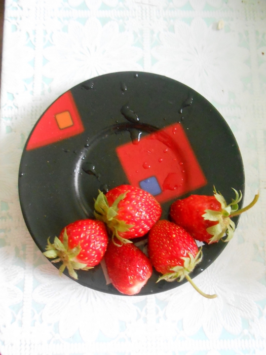 5531595_DSCN1638 (525x700, 218Kb)