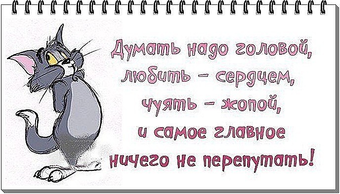   (688x394, 86Kb)