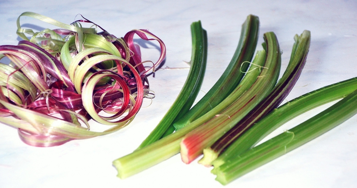 3587765_DSC_3905 (700x370, 197Kb)