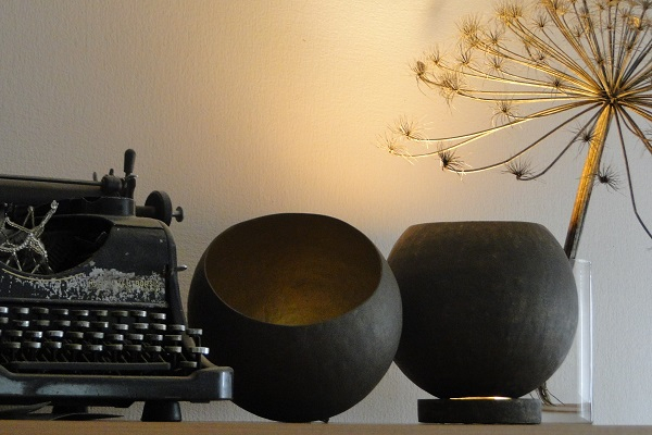 DSC01559 (600x400, 216Kb)