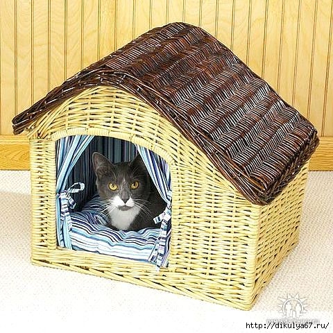 Кошка из кошкиного дома картинки