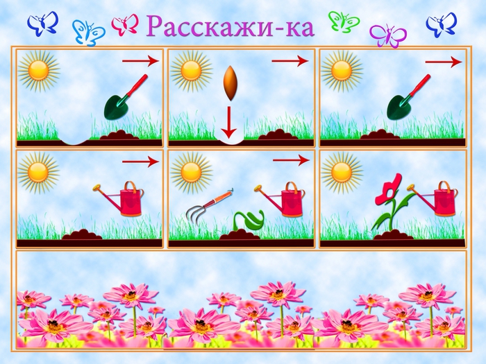 Схема роста цветка для дошкольников - 94 фото
