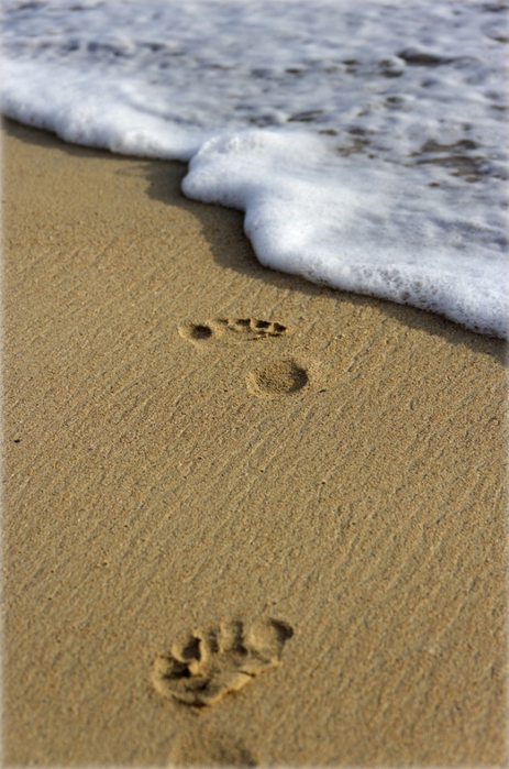 2017616_onthebeach54848e90a2b049aa91170d6d8783478d (463x700, 255Kb)