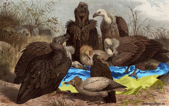 5487747_Def (700x438, 154Kb)