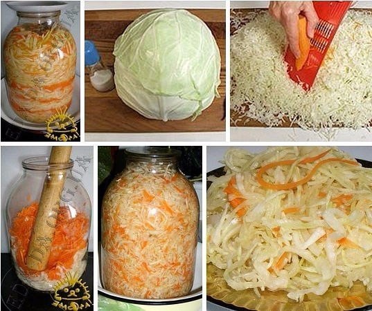 2681762_cabbage_salted_ (537x450, 74Kb)