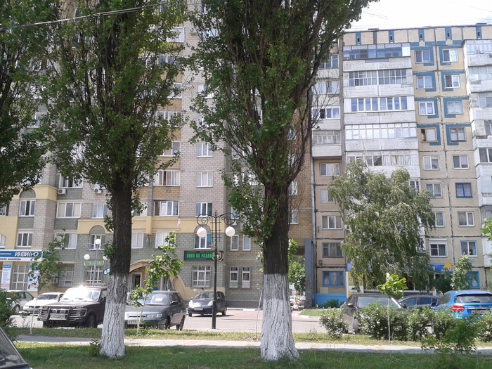 20150527_121324 (700x525, 288Kb)