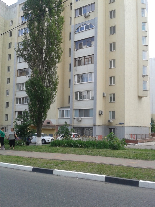 20150527_121705 (525x700, 214Kb)