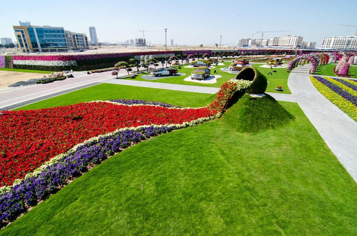 dubai_miracle_garden_3 (700x463, 464Kb)