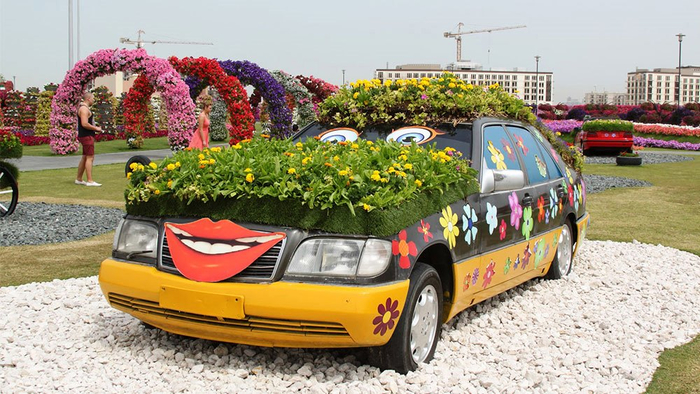 -صور Dubai Miracle Garden Tourism (700x394, 375Kb)