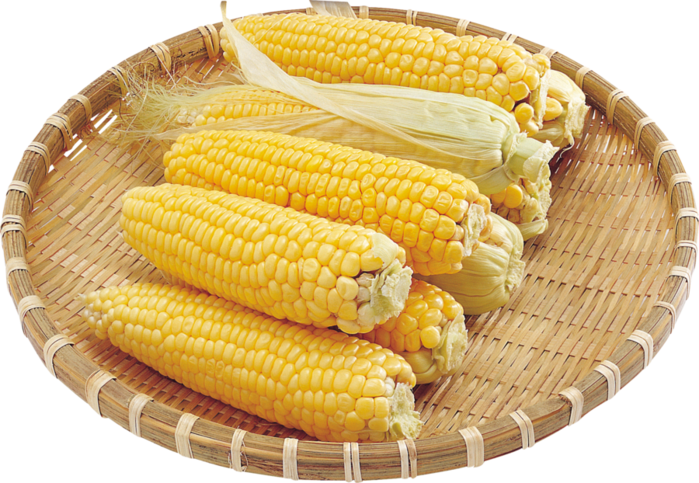 corn_PNG5280 (700x483, 608Kb)