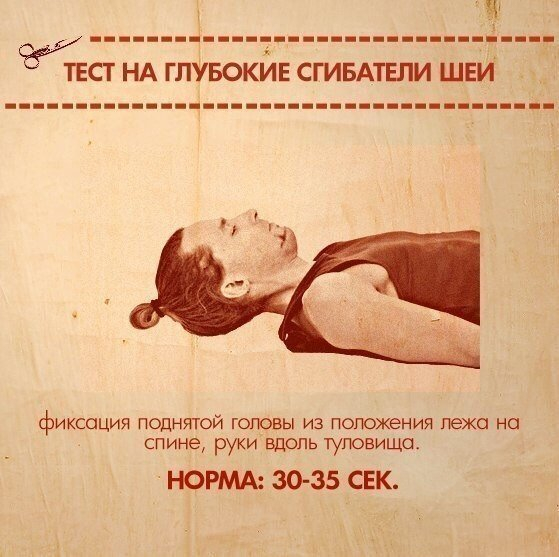 5 (559x557, 249Kb)