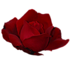 0_f1e41_7fe0210_XS (100x81, 9Kb)