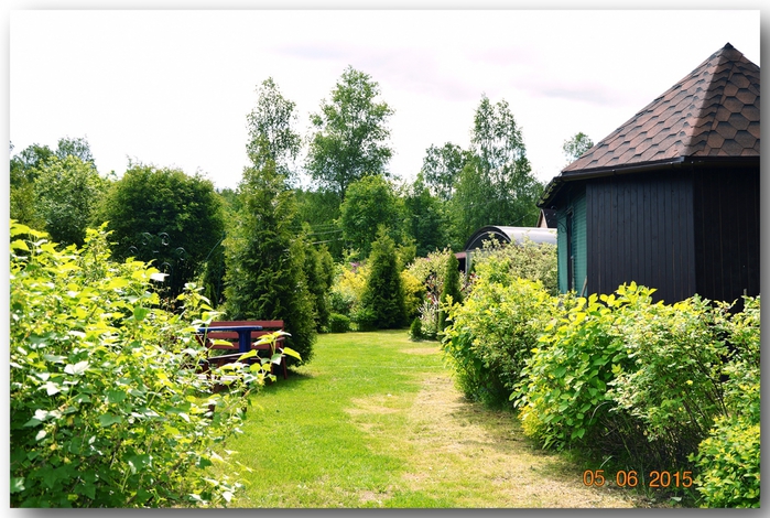3587765_DSC_3885 (700x470, 302Kb)