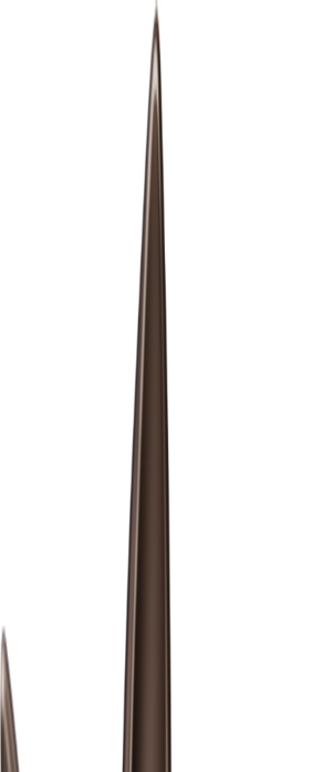HDCelinart_Tina05 (301x700, 26Kb)