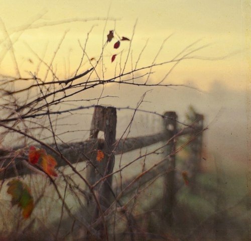Y8_5yK9xDUU (500x480, 42Kb)