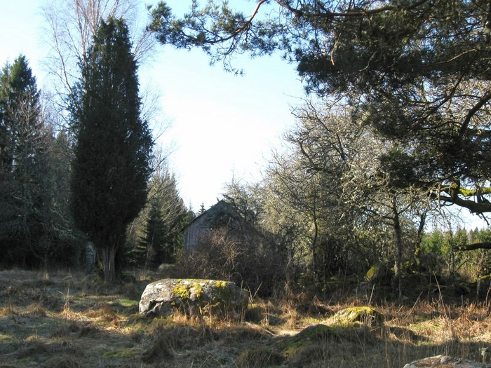 mmm spring 043 (700x525, 450Kb)