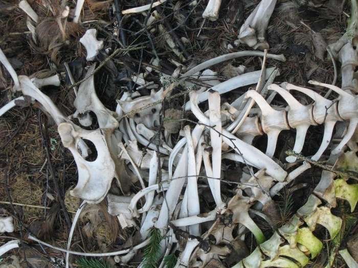 mmm spring 015 (700x525, 437Kb)