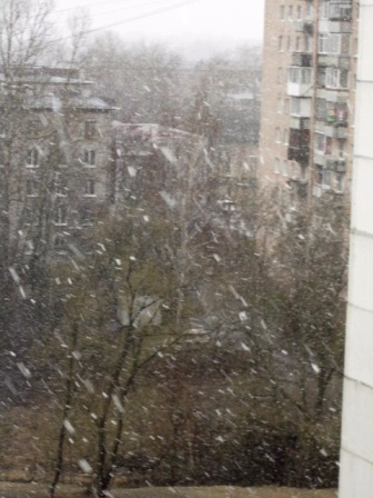 IMG_5157 (336x448, 141Kb)