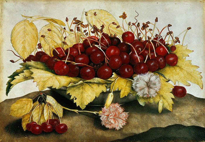 cherries-and-carnations-giovanna-garzoni (700x487, 120Kb)