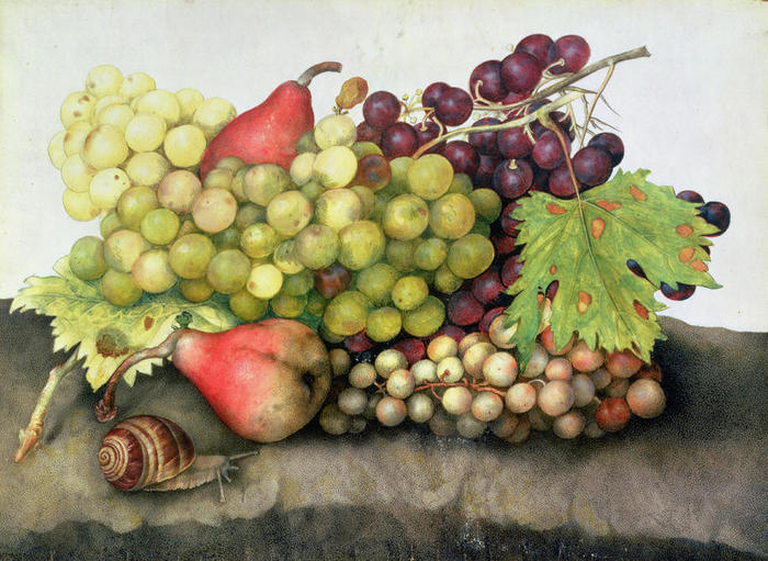 snail-with-grapes-and-pears-giovanna-garzoni (700x511, 84Kb)