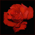 0_3fbbb_265a6629_orig (150x150, 58Kb)
