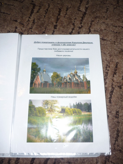 P1110048 (525x700, 104Kb)