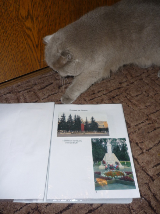 P1110043 (525x700, 89Kb)