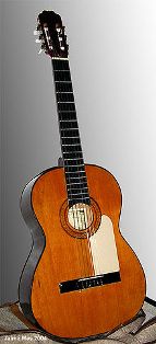 220px-Spanish_guitar (143x314, 10Kb)