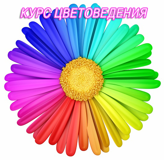 Fotolia_25932706_S-1 (527x516, 261Kb)
