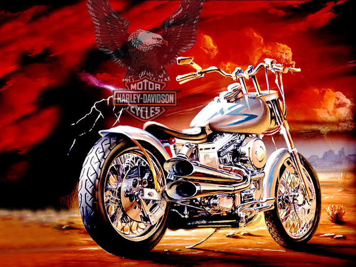 9d8a6__Harley-Davidson (700x525, 181Kb)