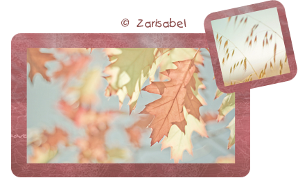 Preview_of (430x270, 149Kb)