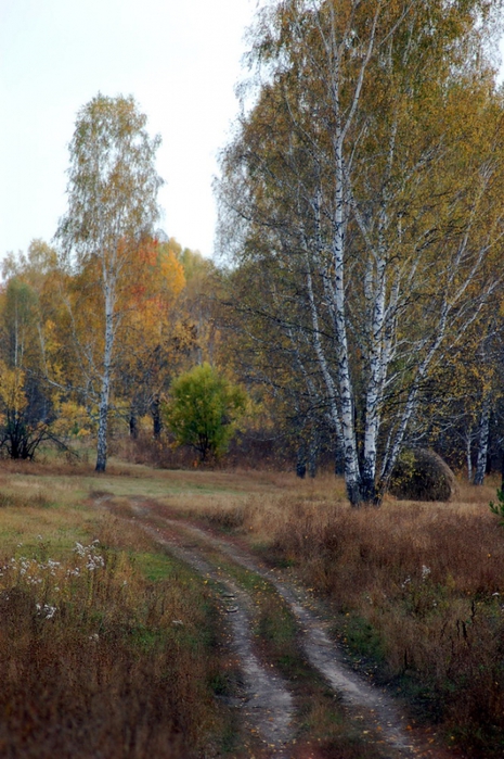 3392780_DSC_9557 (465x700, 294Kb)