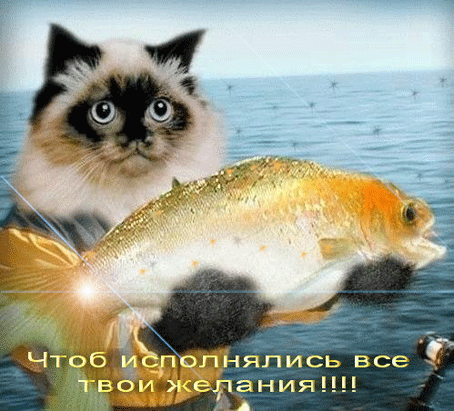 73106144_10_211bc_be6d961d_origjpeg (454x411, 187Kb)