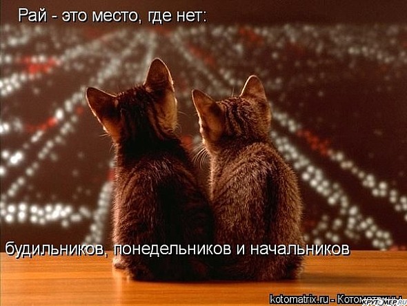 http://img0.liveinternet.ru/images/attach/c/4/78/390/78390408_73391540_86e3fd762.jpg