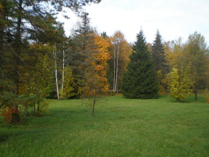 PA060066 (700x525, 74Kb)