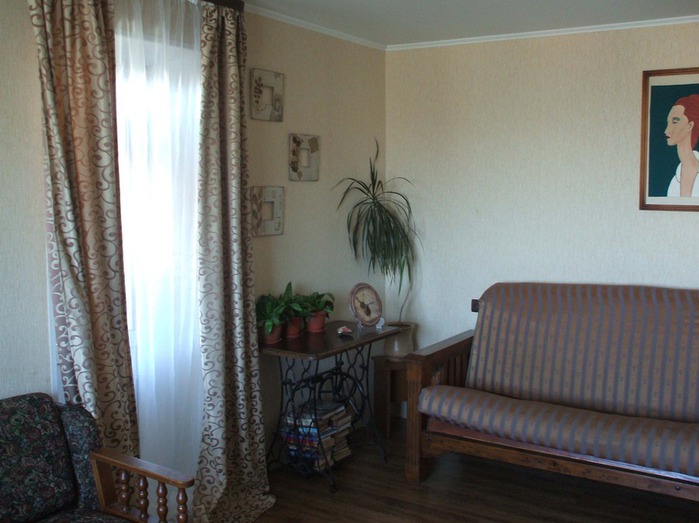 DSCF1711 (700x523, 89Kb)