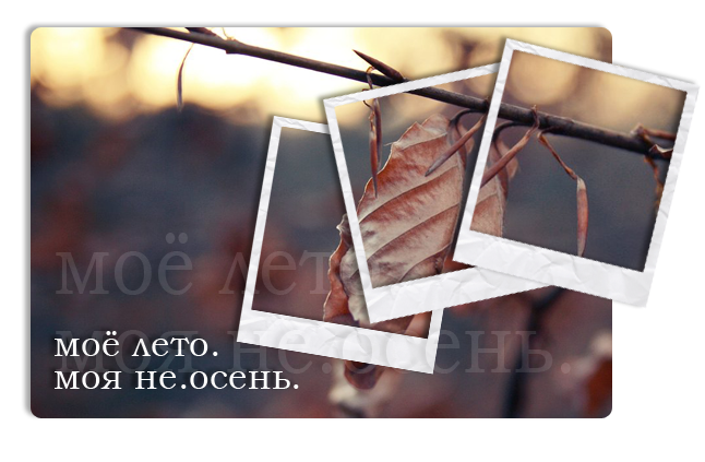 1316881629_55555555555 (646x423, 320Kb)