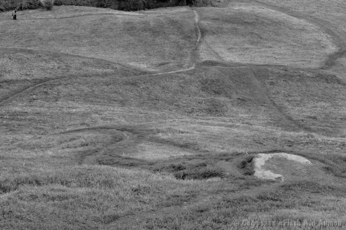0 103bw  (700x465, 113Kb)