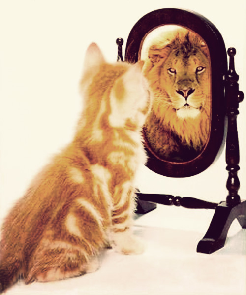 increase-confidence (500x599, 115Kb)
