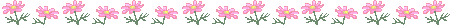0_5ad1b_addd3318_L (451x25, 3Kb)