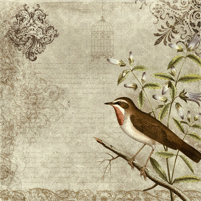bird_vintage_texture_by_etoile_du_nord-d31xl6s (700x700, 200Kb)
