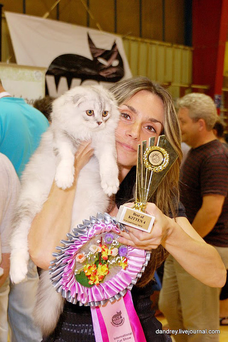 b_25_09_2011_13_09_53_55754357 (467x700, 137Kb)
