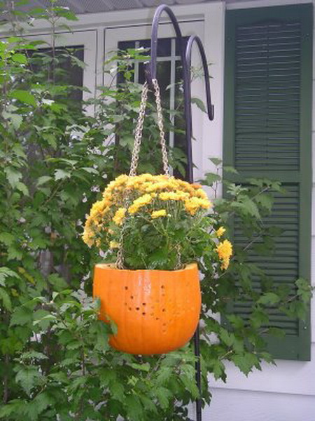 pumpkin-as-vase-creative-ideas8 (450x600, 88Kb)
