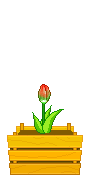 4159622_135 (92x178, 19Kb)