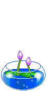4159622_153 (92x178, 22Kb)