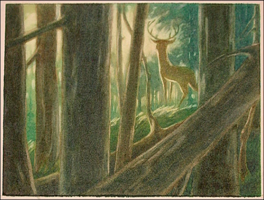 1 (531x401, 233Kb)